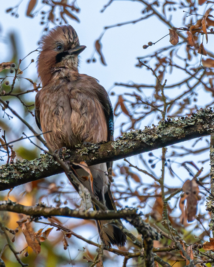 ������, � ������, � ����� �������, ����, ��������, ��������