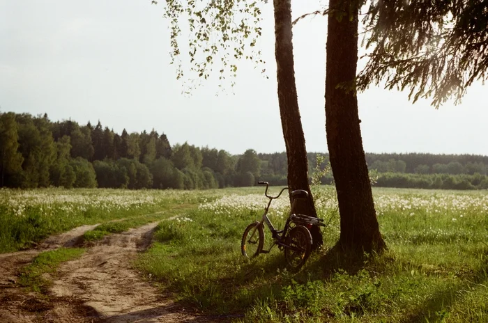 A rest stop on the roadside - My, Nature, The photo, Film