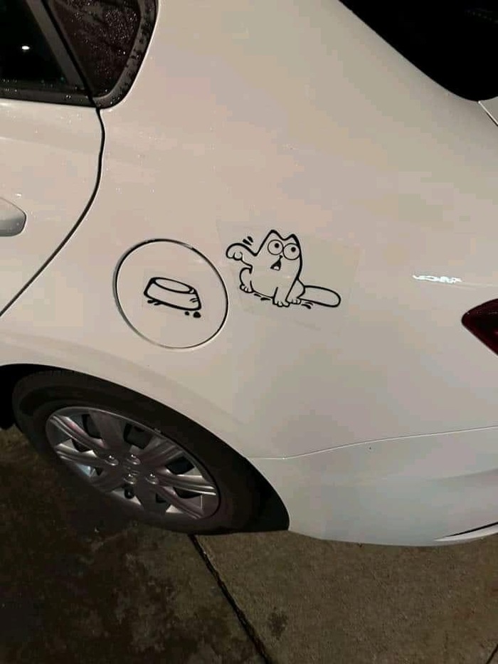    ,  , 