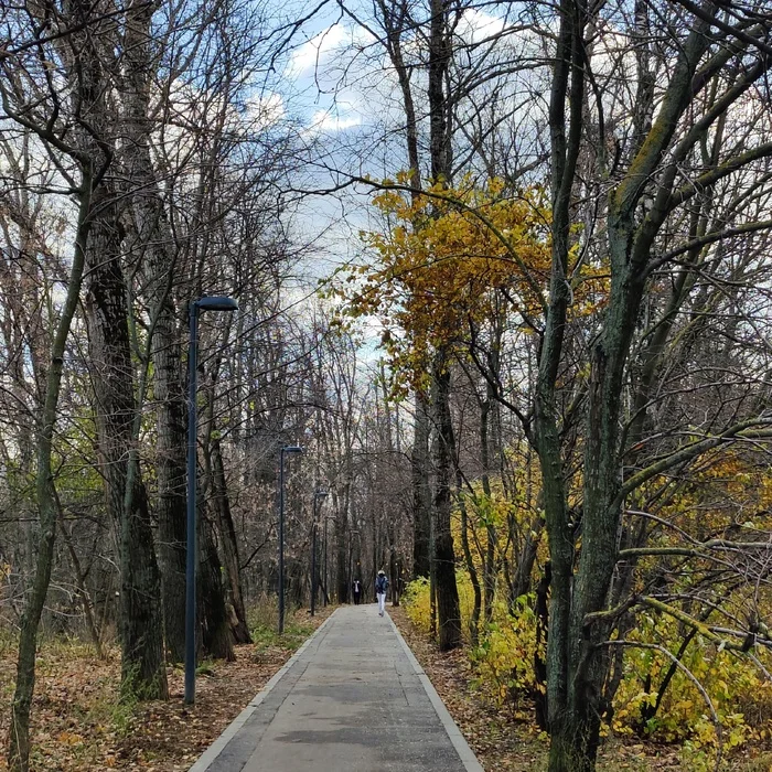 Autumn air - The senses, Person, Emotions, Psychology, Psychological help, Autumn, Leaves, Nature, Calmness, Liberty, Love, Air, A life, Loneliness, Stress, Freshness, Peace, People, Feel, Walk, Longpost