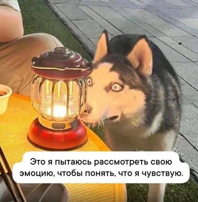 Особенности эмоциональной саморегуляции у нейроотличных