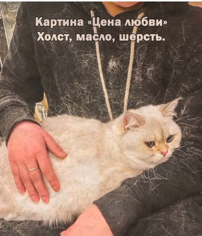 А какая цена вашей любви с питомцем?