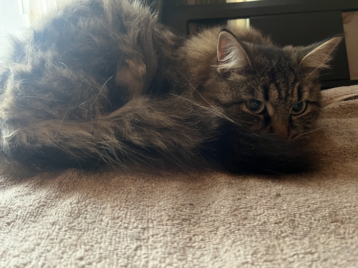 ���������� ��� ���� � ����