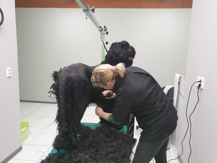 Готовимся к лету. Ее последняя и почти единственная фотография у меня на телефоне