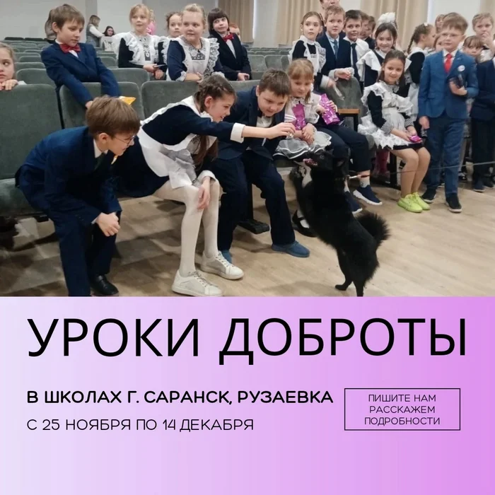 We are conducting in schools of the city of Saransk - Poster, Event, Saransk, Mordovia, Helping animals, School, VKontakte (link), Longpost