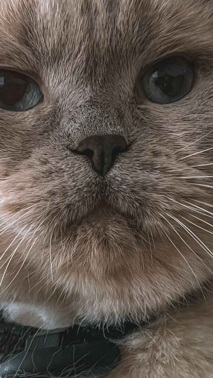 ������� ������� � �����