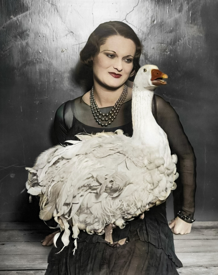 Удивительные и забавные фотографии с животными. Подборка 20 раскрашенных фотографий из ХХ века. Часть II Фотография, Старое фото, Животные, Колоризация, 20 век, Историческое фото, Длиннопост