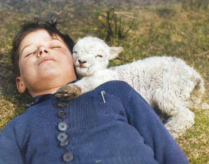 Удивительные и забавные фотографии с животными. Подборка 20 раскрашенных фотографий из ХХ века. Часть II Фотография, Старое фото, Животные, Колоризация, 20 век, Историческое фото, Длиннопост