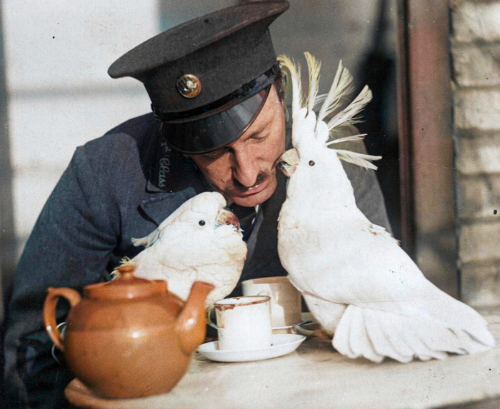 Удивительные и забавные фотографии с животными. Подборка 20 раскрашенных фотографий из ХХ века. Часть II Фотография, Старое фото, Животные, Колоризация, 20 век, Историческое фото, Длиннопост