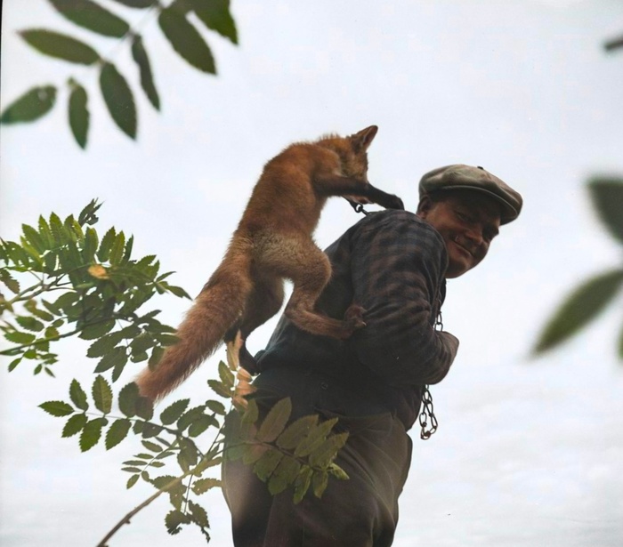Удивительные и забавные фотографии с животными. Подборка 20 раскрашенных фотографий из ХХ века. Часть II Фотография, Старое фото, Животные, Колоризация, 20 век, Историческое фото, Длиннопост