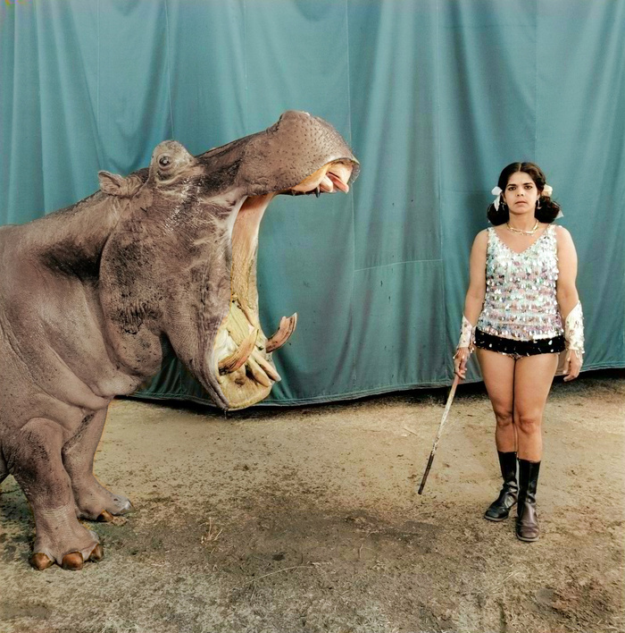 Удивительные и забавные фотографии с животными. Подборка 20 раскрашенных фотографий из ХХ века. Часть II Фотография, Старое фото, Животные, Колоризация, 20 век, Историческое фото, Длиннопост