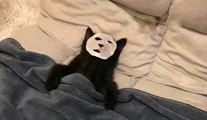       , ,  , 