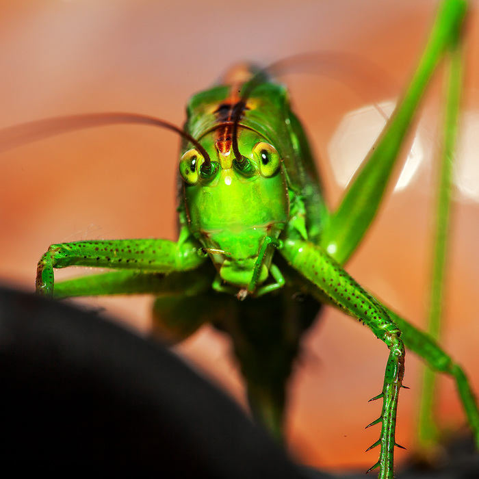 Я сейчас примерно так же выгляжу, читая новости