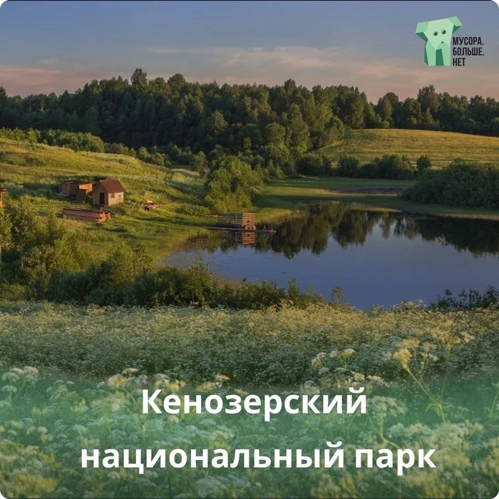 Kenozersky National Park - My, Ecology, Nature, Garbage, Russia, National park, The park, wildlife, The nature of Russia, Camping, Wonders of nature, Mbn, Eco-education, Walk, Walk in the woods, Arkhangelsk, Arkhangelsk region, Longpost