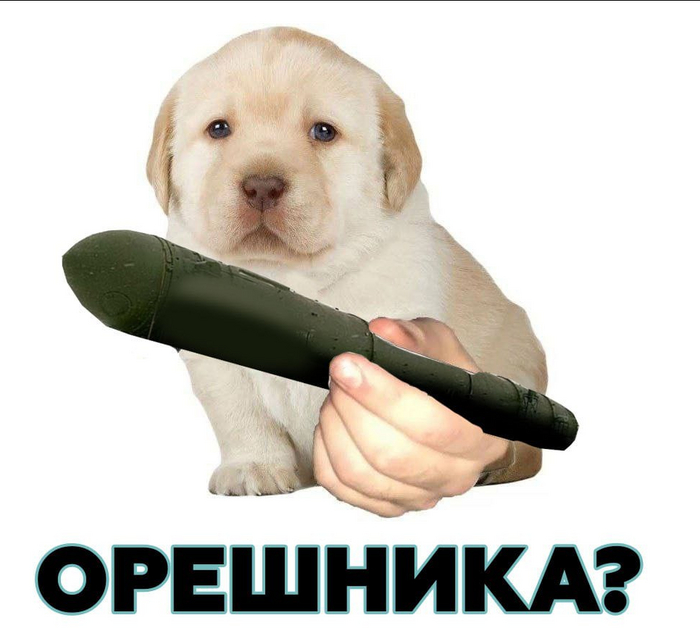 ����������� ����� ��� ����� ����