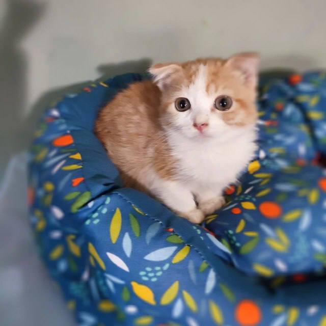 ����� � ������ ���� ��� !