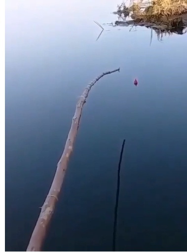   , , 