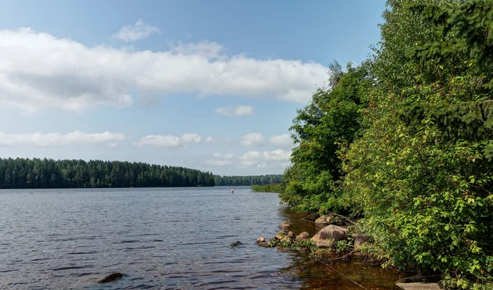 The Svir River - My, The photo, July, Svir River, Leningrad region