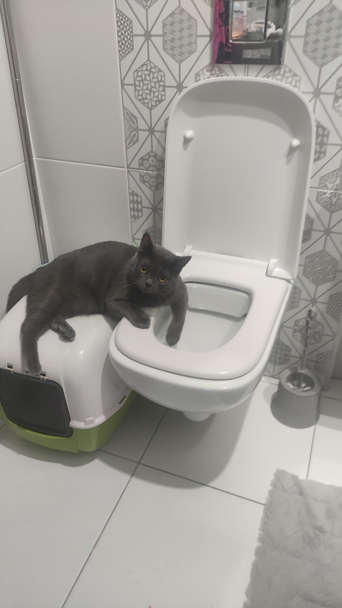 Контролеры бывают не только в общественных туалетах