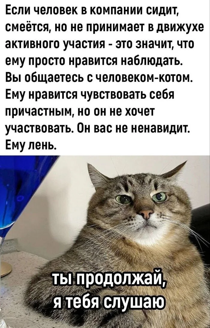 The Secret of an Introvert - Psychology, Психолог, Psychotherapy, Internal dialogue, Introvert, cat, Dialog, Humor, Memes, Picture with text, Brain, Laziness, Telegram (link), Screenshot, Cat Stepan, Company