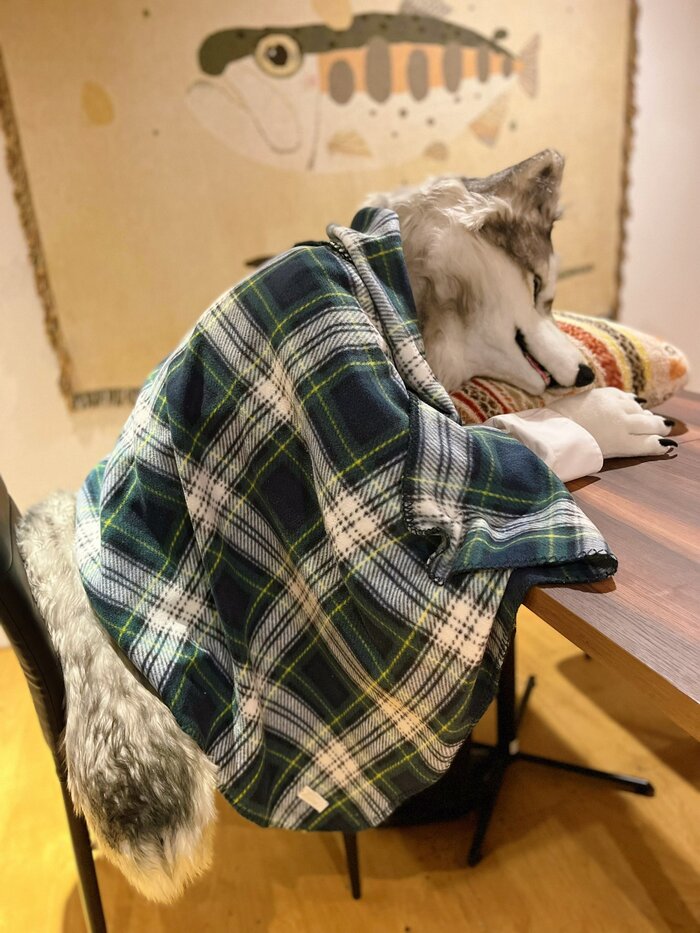  , , Furry Canine, Furry wolf, , , 