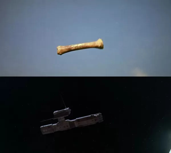    .       ,  , ,  , , ,  ,  ,  , 