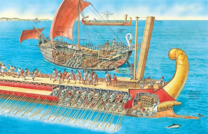 Ancient Roman sea vessels in section - Art, beauty, Ancient world, Ancient Rome, Antiquity, Combat ships, Ship, Fleet