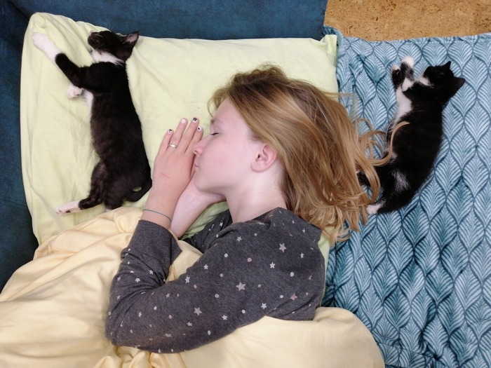 ������ ���� ����