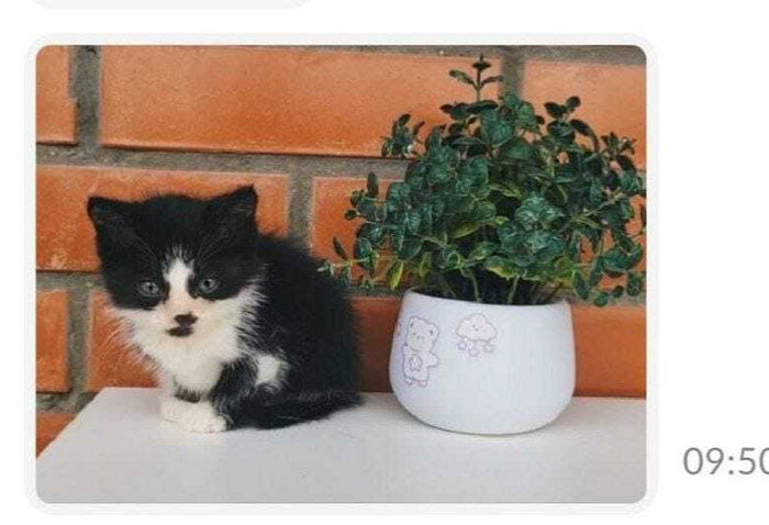 ���������� �������