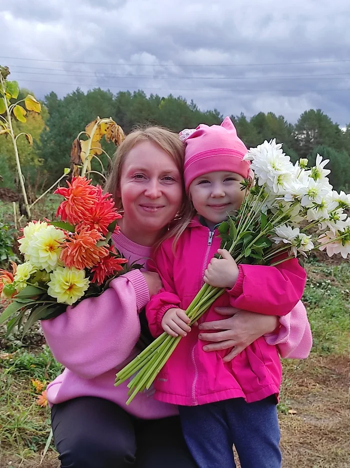 This year we tried to grow dahlias for sale, and some success came of it. - My, Village, Сельское хозяйство, Village, Harvest, Garden