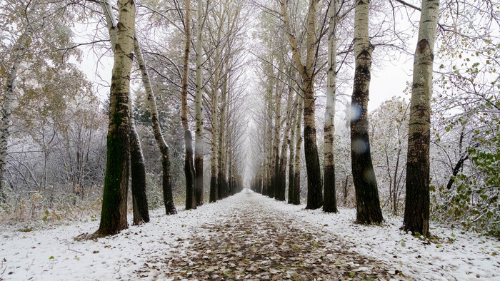 Фотография - <!--noindex--><a href="https://pikabu.ru/story/poluzimniy_dendropark_novosibirsk_12045982?u=http%3A%2F%2Fwww.openmainphoto.ru&t=www.openmainphoto.ru&h=267babbd610108e788db871f33e028ac21fb4c58" title="http://www.openmainphoto.ru" target="_blank" rel="nofollow noopener">www.openmainphoto.ru</a><!--/noindex-->