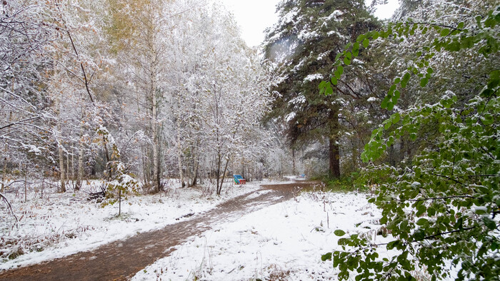 Фотография - <!--noindex--><a href="https://pikabu.ru/story/poluzimniy_dendropark_novosibirsk_12045982?u=http%3A%2F%2Fwww.openmainphoto.ru&t=www.openmainphoto.ru&h=267babbd610108e788db871f33e028ac21fb4c58" title="http://www.openmainphoto.ru" target="_blank" rel="nofollow noopener">www.openmainphoto.ru</a><!--/noindex-->