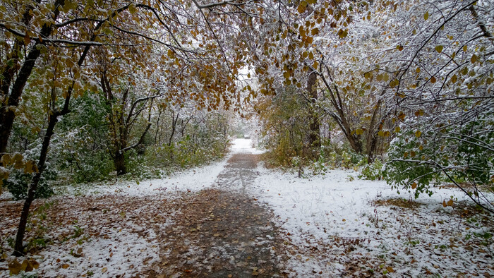 Фотография - <!--noindex--><a href="https://pikabu.ru/story/poluzimniy_dendropark_novosibirsk_12045982?u=http%3A%2F%2Fwww.openmainphoto.ru&t=www.openmainphoto.ru&h=267babbd610108e788db871f33e028ac21fb4c58" title="http://www.openmainphoto.ru" target="_blank" rel="nofollow noopener">www.openmainphoto.ru</a><!--/noindex-->