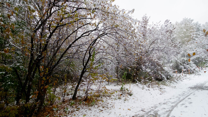 Фотография - <!--noindex--><a href="https://pikabu.ru/story/poluzimniy_dendropark_novosibirsk_12045982?u=http%3A%2F%2Fwww.openmainphoto.ru&t=www.openmainphoto.ru&h=267babbd610108e788db871f33e028ac21fb4c58" title="http://www.openmainphoto.ru" target="_blank" rel="nofollow noopener">www.openmainphoto.ru</a><!--/noindex-->