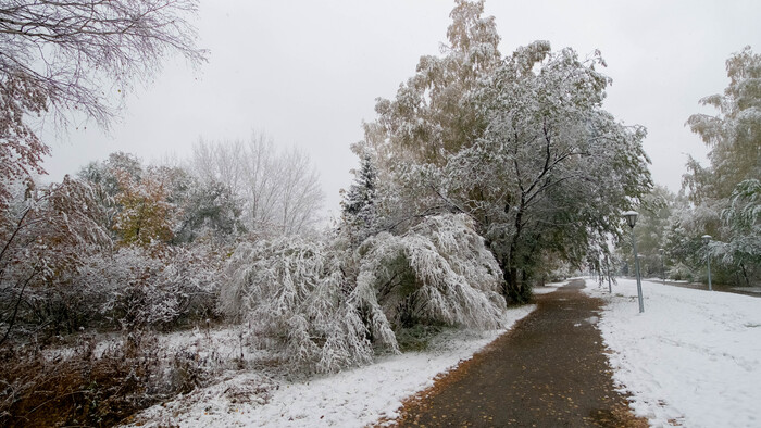 Фотография - <!--noindex--><a href="https://pikabu.ru/story/poluzimniy_dendropark_novosibirsk_12045982?u=http%3A%2F%2Fwww.openmainphoto.ru&t=www.openmainphoto.ru&h=267babbd610108e788db871f33e028ac21fb4c58" title="http://www.openmainphoto.ru" target="_blank" rel="nofollow noopener">www.openmainphoto.ru</a><!--/noindex-->
