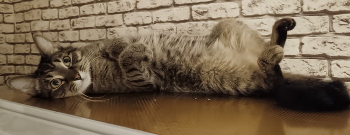 Машка о чём то мечтает)