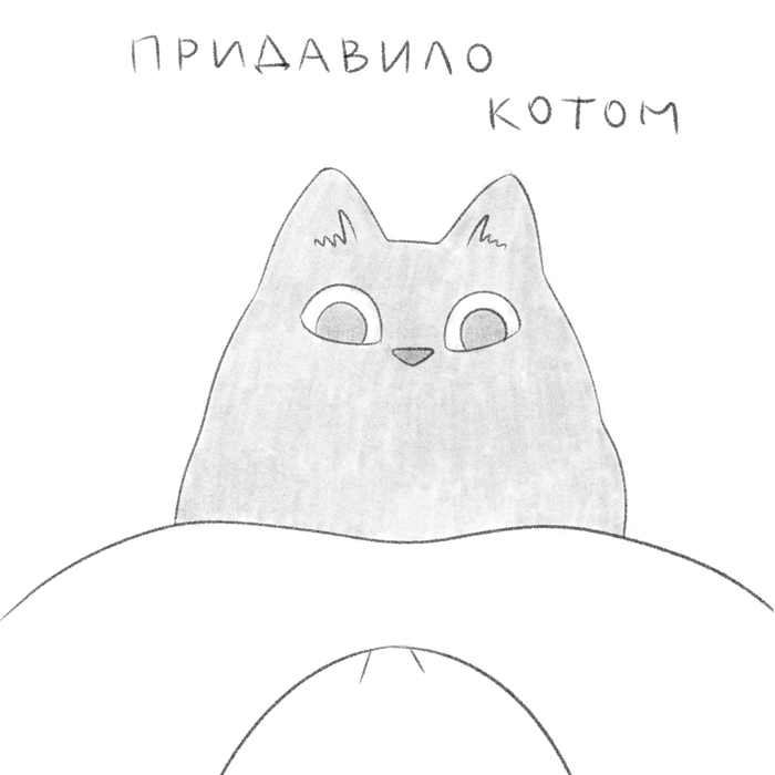 Почему я опоздала на работу. Причина № 137