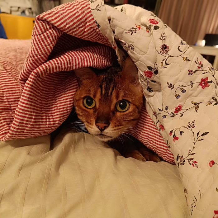,      ?   , , ,  