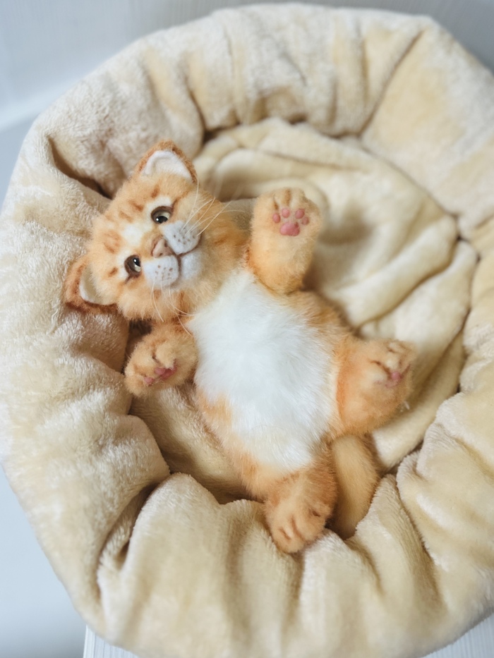 Рыжуля котенок