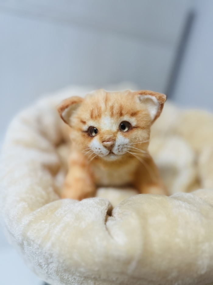 Игрушки Марии Евич