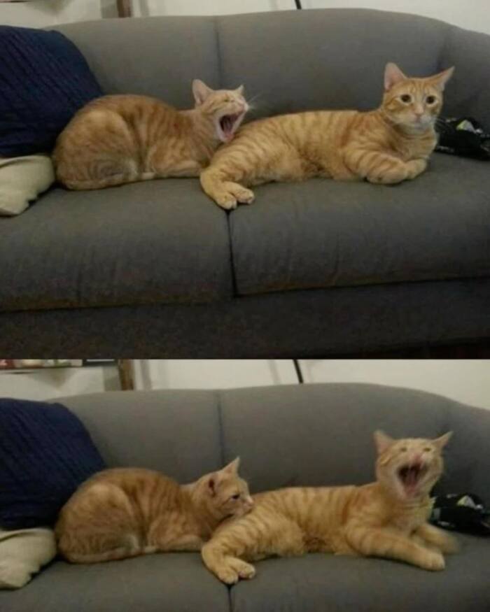    , , ,  , 