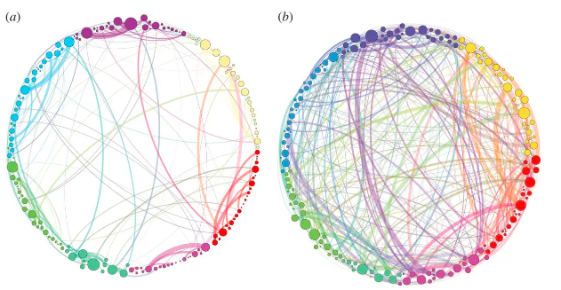 Mushrooms and Productivity Growth. Lion's Mane - My, Health, Research, Brain, Healthy lifestyle, Mushrooms, Ezhovik, Nauchpop, The science, Biology, Productivity, Anxiety, Neurogenesis, Neurons, Longpost