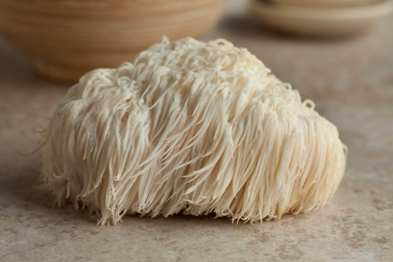 Mushrooms and Productivity Growth. Lion's Mane - My, Health, Research, Brain, Healthy lifestyle, Mushrooms, Ezhovik, Nauchpop, The science, Biology, Productivity, Anxiety, Neurogenesis, Neurons, Longpost