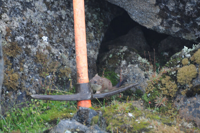 �� ����, ��������, ���������...