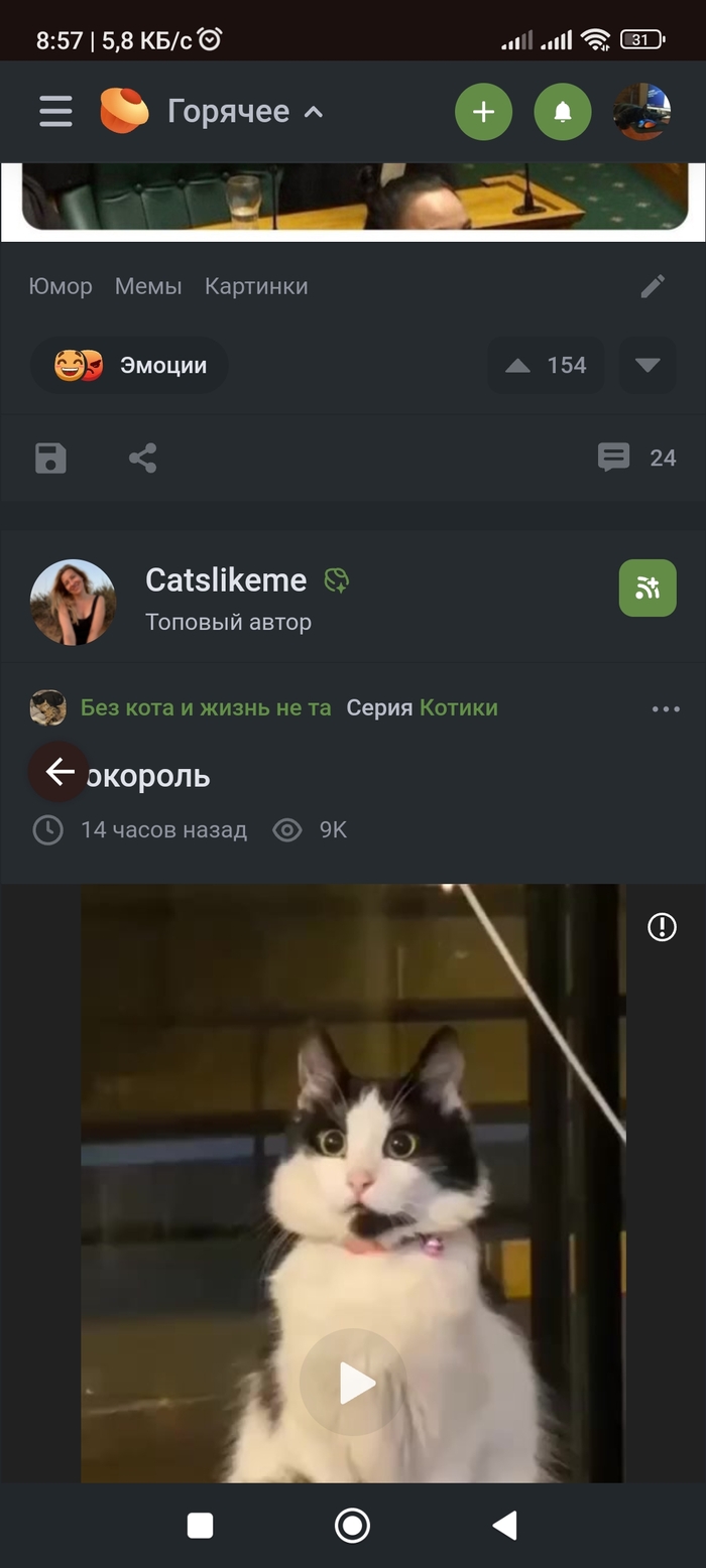 @pikabu      ? ,    ,   , , ,  , 
