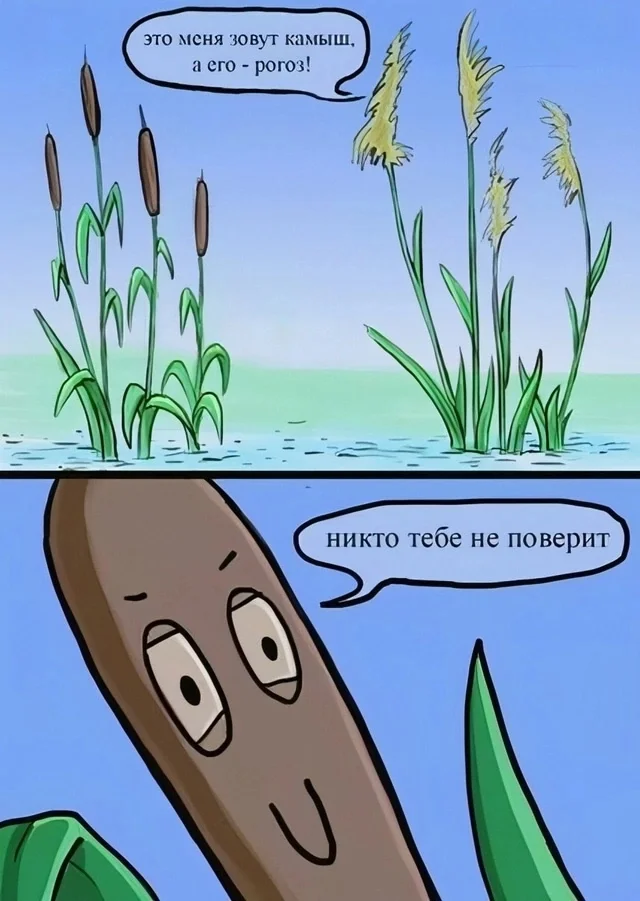 Probably a repost - Humor, Funny, Plants, Reeds, Picture with text