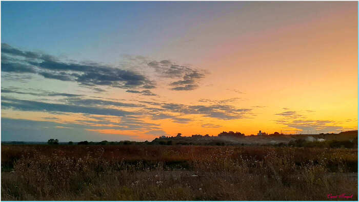 Summer evening - My, The photo, Nature, Landscape, Summer, Evening