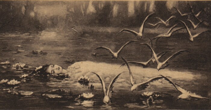 Котарбинский В.А. Чайки