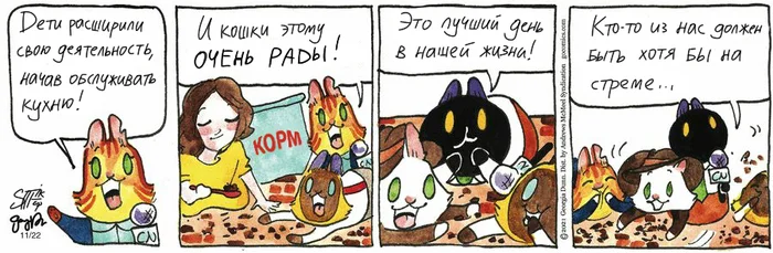 Koteikiny News from 22.11.2024 - My, Comics, cat, Koteikin news (comic), Translation