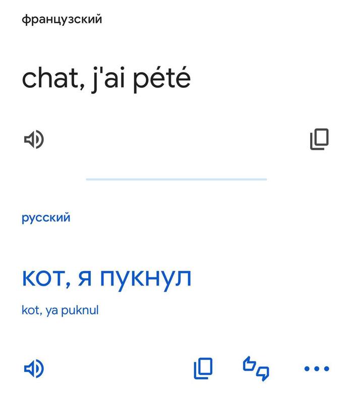 Мем дня: оказывается, ChatGPT на французском произносится «chat, j'ai pt», что переводится как «кот, я пукнул»